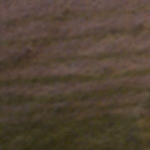 Meet your Posher, Denisea